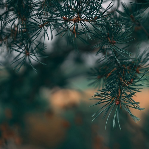 Digia_DigitalTwin_2025